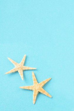Mavi arka planda deniz yıldızları, deniz konsepti      