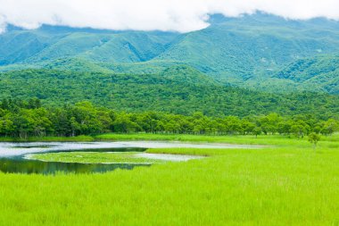 Yeşil ormanlı bir göl ve arka planda dağlar.