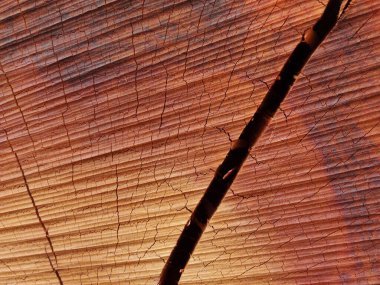 Eski ahşap doku. doğal arkaplan.