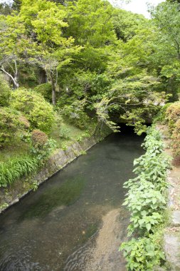 Japonya 'nın Kyoto şehrinde Filozof Yolu (Tetsugaku no Michi) boyunca uzanan su kanalı
