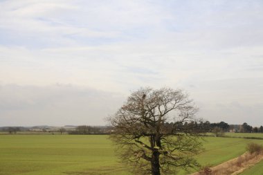 Uzakta yeşil tarlaları, ağaçları ve çiftliği olan kırsal alan    