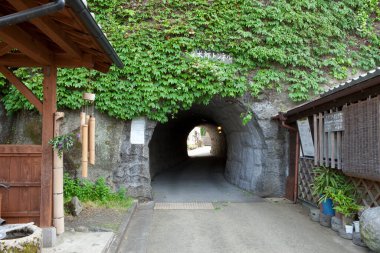 Yeşil sarmaşık yapraklarıyla kaplı taş tünel girişi.