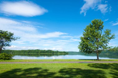 Yeşil ormanlı bir göl ve arka planda dağlar.