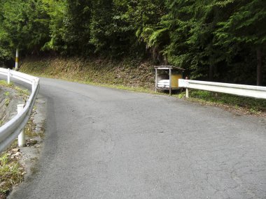 Virajlı dağ yolu. Metal bariyerlerle ormanlık yamaçtan geçiyor.