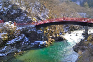 Ormanda güzel bir şelale