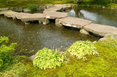 Parktaki göletin güzel manzarası