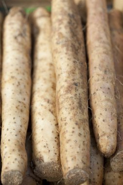 taze organik Japon dağ yer elması sebzeleri