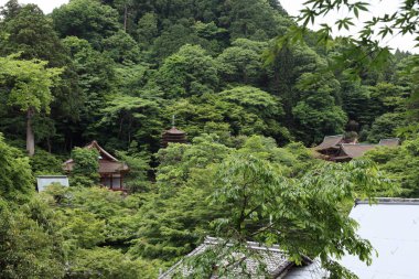 Japonya 'da güzel bir mimari