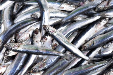 Taze deniz ürünleri, açık hava pazarı...