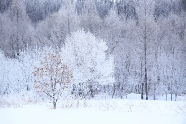 Γραφική Βολή Του Όμορφου Χιονισμένο Τοπίο Για Φόντο — Φωτογραφία Αρχείου