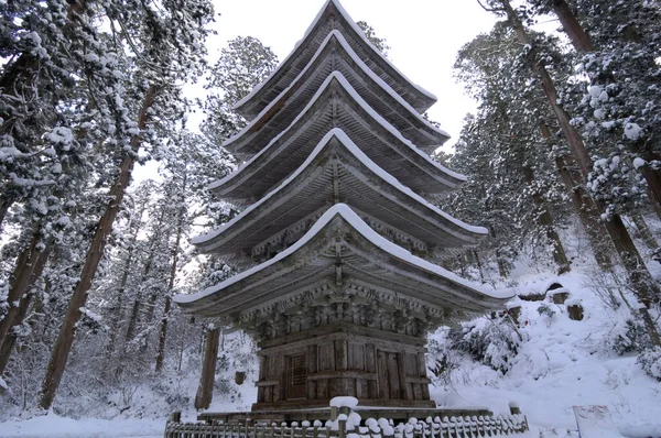 Paesaggio Invernale Con Tempio Pagoda Giappone — Foto Stock