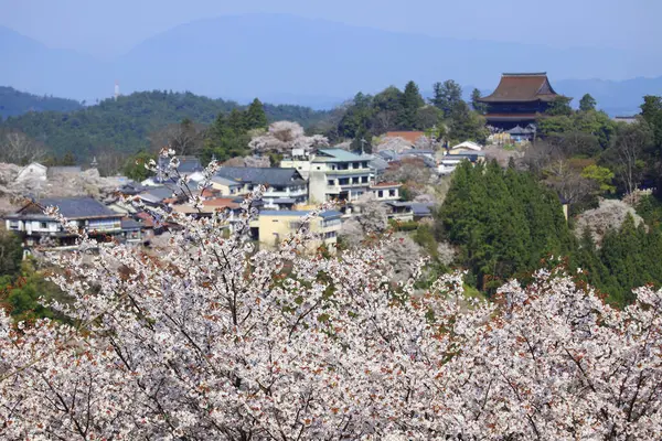 Japonya Daki Yeşil Park Tepelerinde Çiçek Açan Sakura Ağaçlarının Manzaralı — Stok fotoğraf