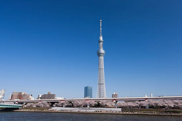 Wieża Widokowa Tokio Japonia — Zdjęcie stockowe