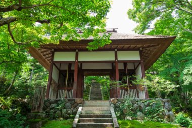 Japonya 'daki Japon bahçesinde güzel mimari