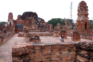 Terk edilmiş ve yıkılmış tuğla tapınak, Wat Maha That, Ayutthaya bölgesi, Tayland.