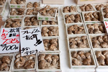 Beyaz plastik tepsilerde sergilenen taze mantarlar.