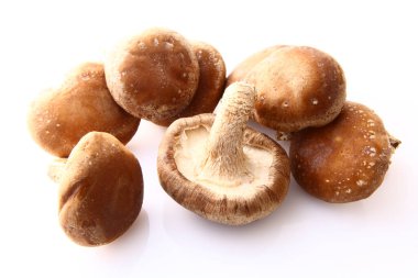 Beyaz arkaplanda çiğ shiitake mantarları