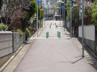 Kalın ve yeşil ağaçların oluşturduğu kaldırımların olduğu sessiz bir yerleşim yeri.