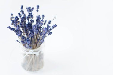 Güzel çiçekler, yakın görüş, doğa konsepti.