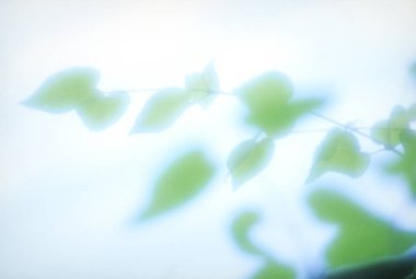 Renkli ışıkların soyut arkaplanı