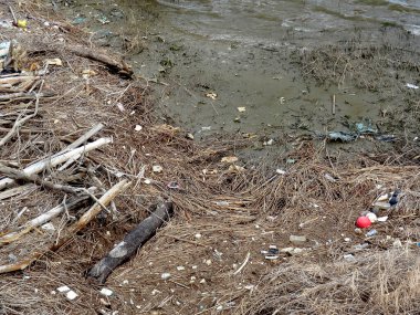 Nehir kıyısındaki çöpler. Çevre kirliliği. 