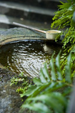 Geleneksel Japon tsukubai ya da bahçede su havzası