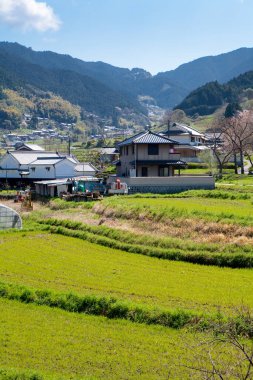 Bahar zamanı Dağ Vadisi 'ndeki Japon köyünün güzel manzarası                             