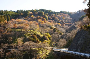 Sonbahar dağlarındaki güzel köprü manzarası 