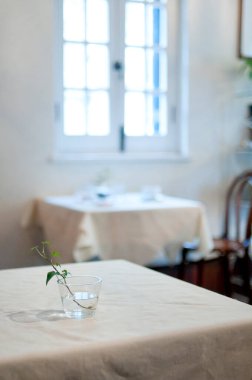 Üzerinde vazo olan bir masa ve arka planda bir pencere.