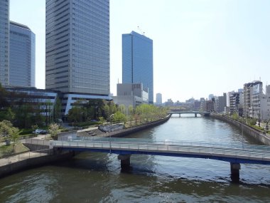 Arka planda şehir olan bir nehir üzerinde köprü.