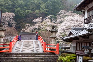 Bir adam ve bir kadın köprüden geçiyorlar.