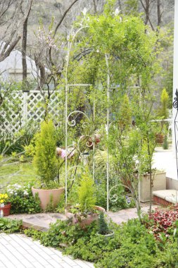 Güzel botanik fotoğrafı, doğal duvar kağıdı.