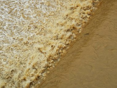 Çamurlu su dalgaları kumlu kıyı şeridine çarpıyor.