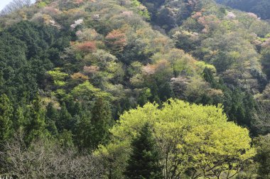 Dağların güzel manzarası