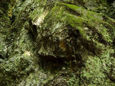 Yosun taşı dokusunu kapat