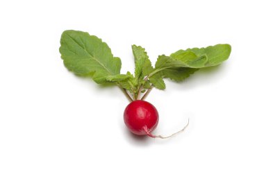 Beyaz arkaplanda taze turp