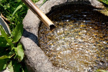 Göldeki bir çeşmenin dikey yakın çekimi.