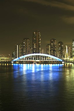 Tokyo 'daki gökdelenler alacakaranlıkta, Japonya' da. 