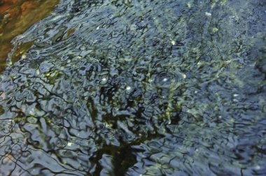 Dalgalanmalar ve sıçramalarla soyut su arkaplanı    