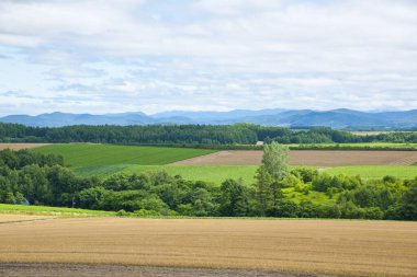 Yeşil alan ve doğa arka planında güzel bulutlar