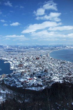 Hakodate Dağı 'ndan güzel havada panoramik manzara. Hakodate Gözlemevi, Japonya