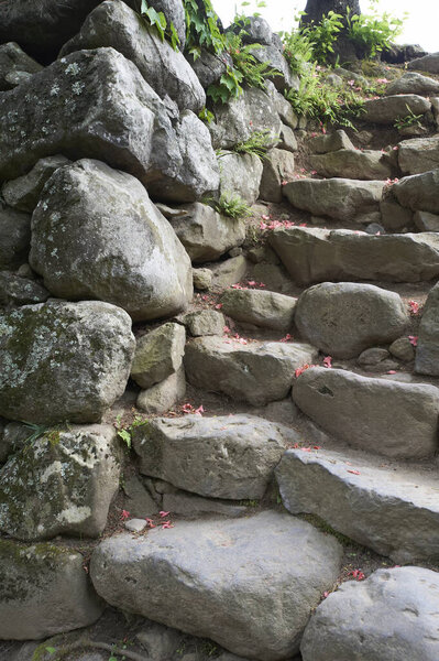 beautiful view of old stone wall and steps in park