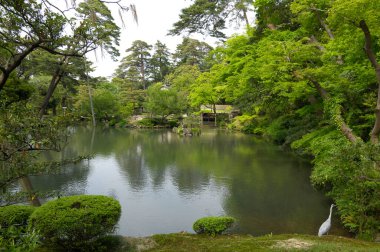 Parktaki gölet, Japon bahçesi.