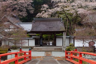 Antik Japon tapınağının manzaralı görüntüsü