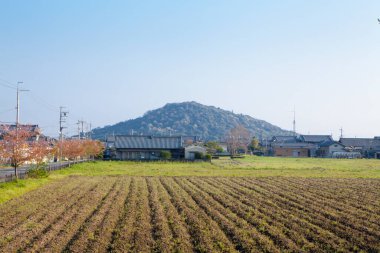 Kırsaldaki bahar tarlası 