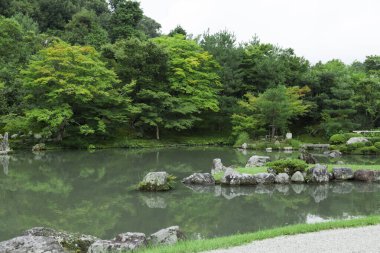 güzel Japon bahçe ağaçları ve gölet