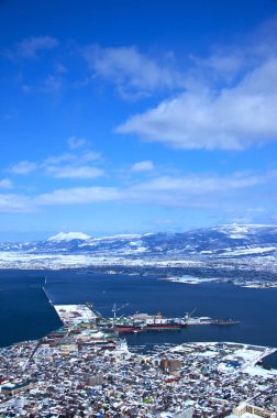 Hakodate Dağı 'ndan güzel havada panoramik manzara. Hakodate Gözlemevi, Japonya