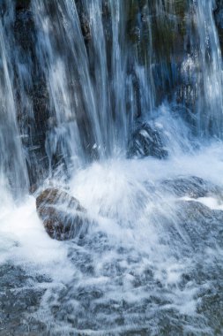 Ormanda güzel bir şelale