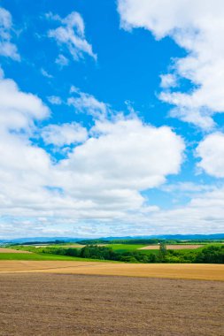 Yeşil alan ve doğa arka planında güzel bulutlar