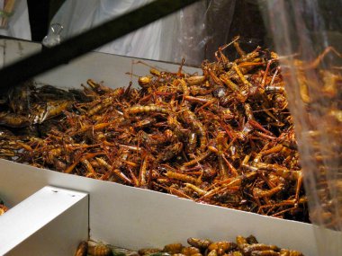 Pazar yerinde sergilenen bir yığın kızarmış çekirge.